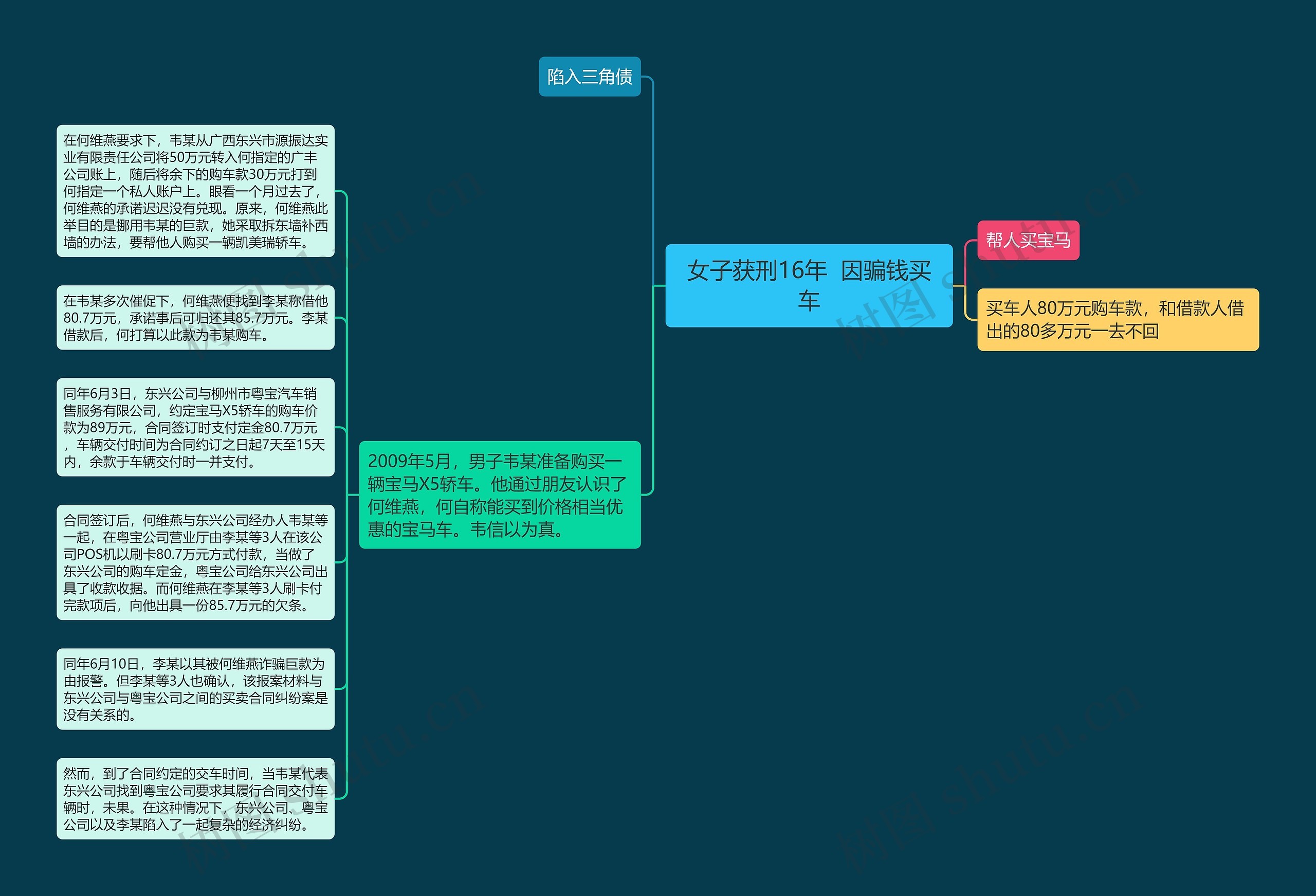 女子获刑16年  因骗钱买车思维导图