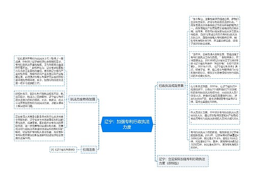 辽宁：加强专利行政执法力度