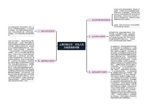 上海讨债公司    对法人无力偿还债务对策