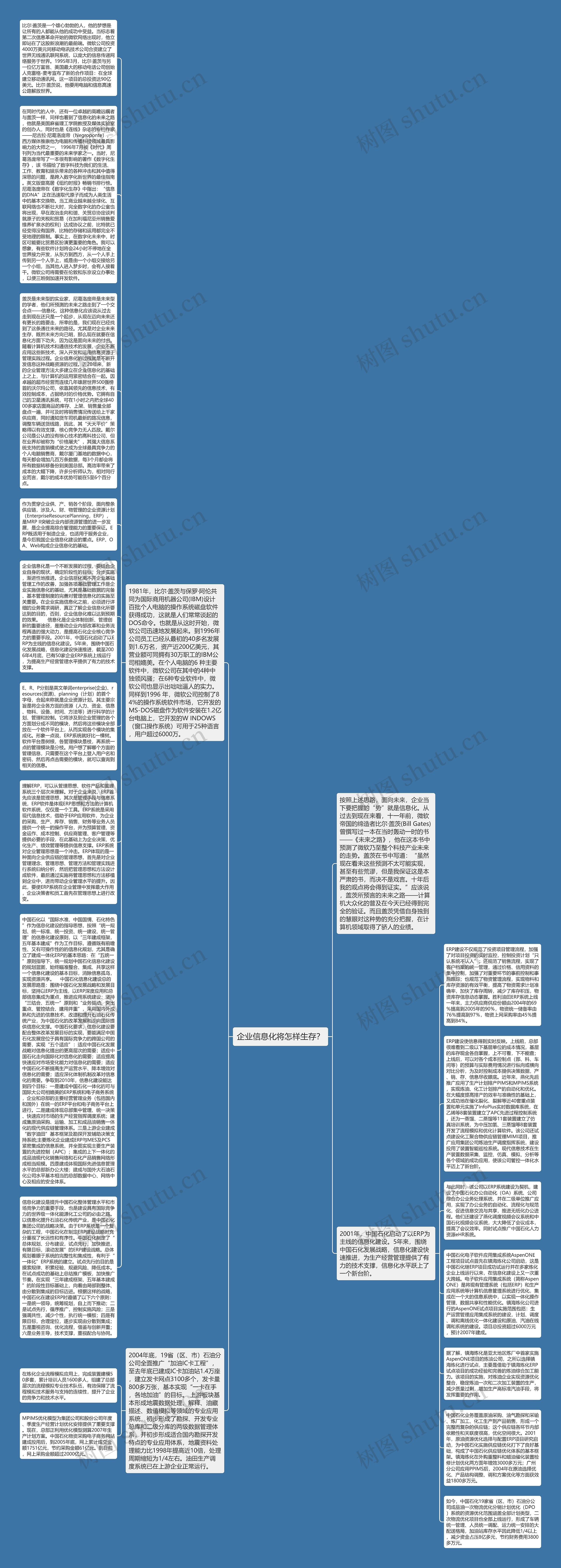 企业信息化将怎样生存？思维导图