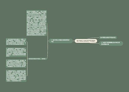 技术转让与知识产权保护