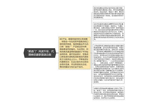 “渠道门”风波升级，代理商欲建联盟谋自救