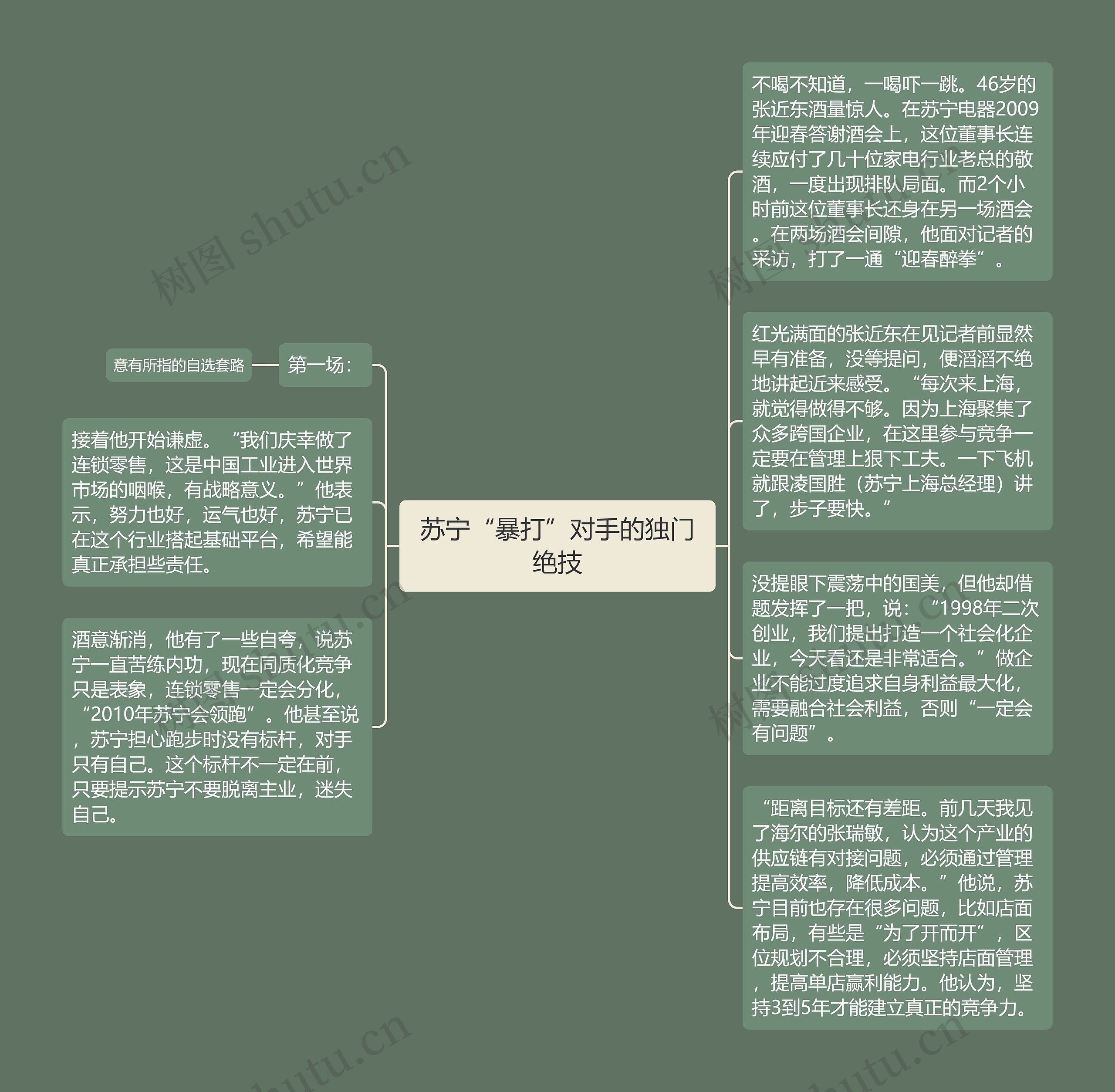 苏宁“暴打”对手的独门绝技思维导图