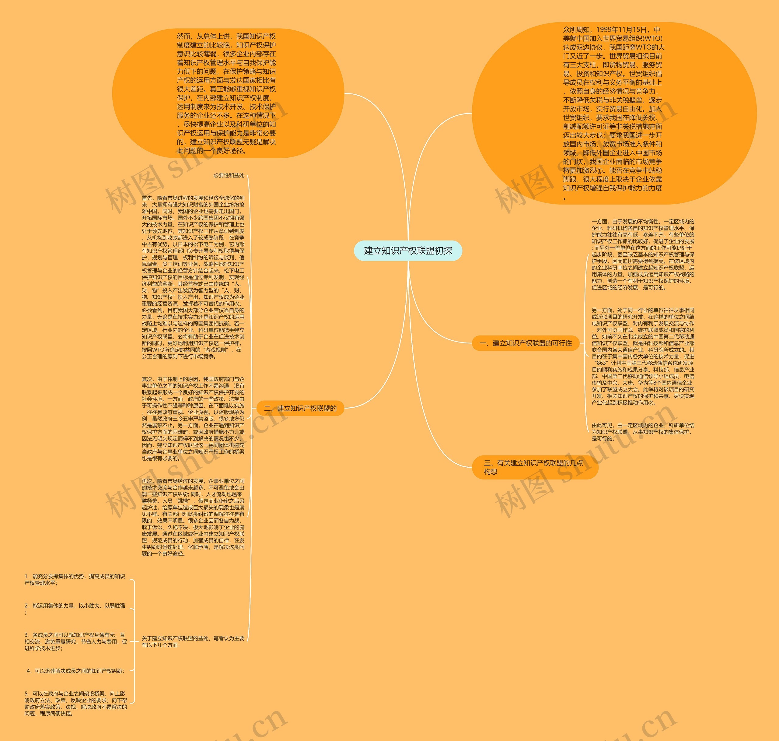 建立知识产权联盟初探思维导图