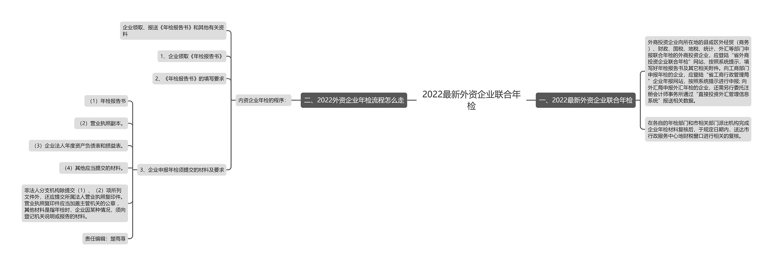 2022最新外资企业联合年检思维导图