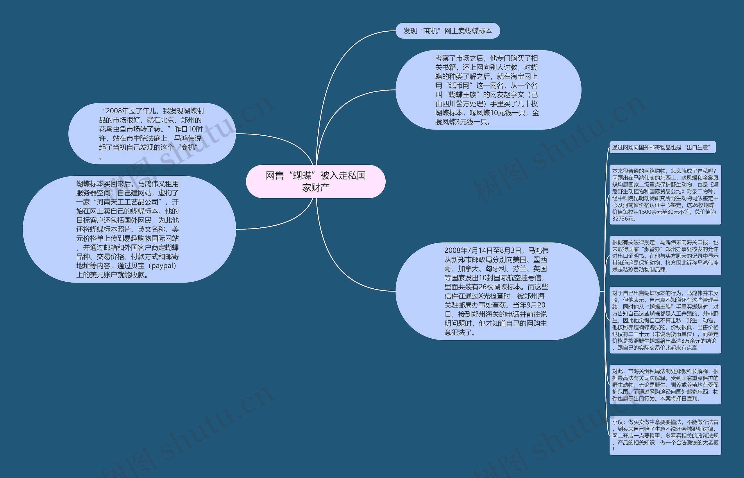 网售“蝴蝶”被入走私国家财产思维导图