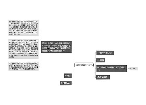 资信调查报告书