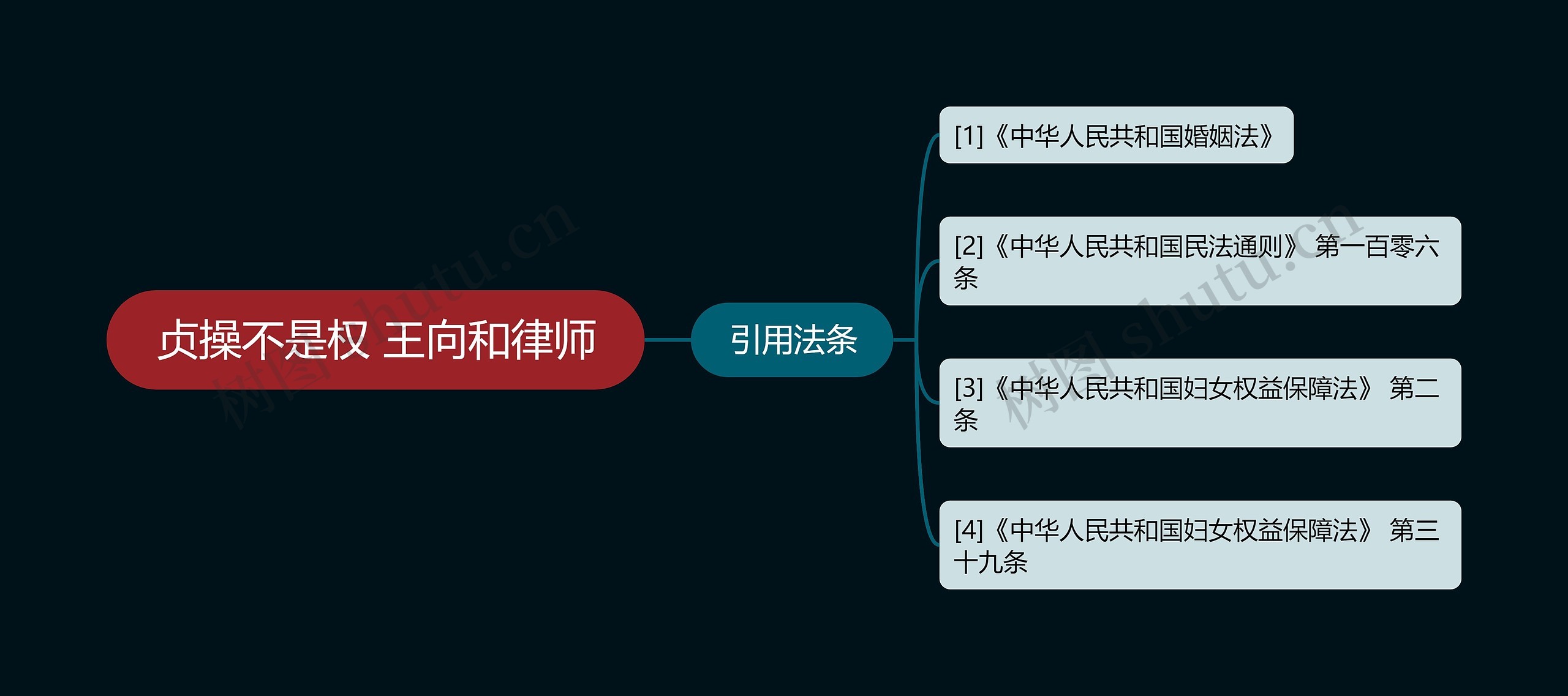 贞操不是权 王向和律师 贞操不是权 王向和律师