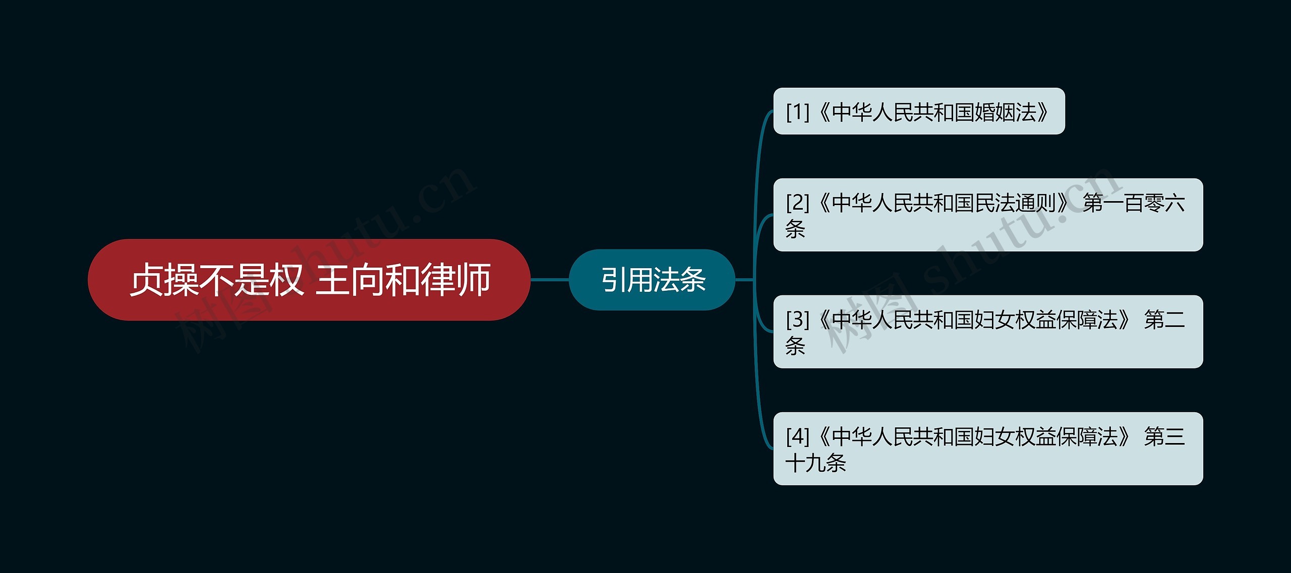 贞操不是权 王向和律师思维导图