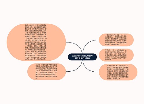 区领导带队各部门联合开展安全生产大检查