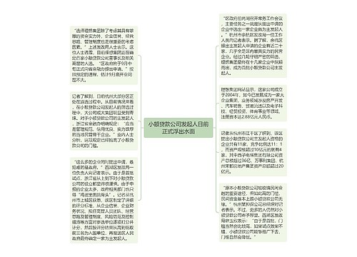 小额贷款公司发起人日前正式浮出水面