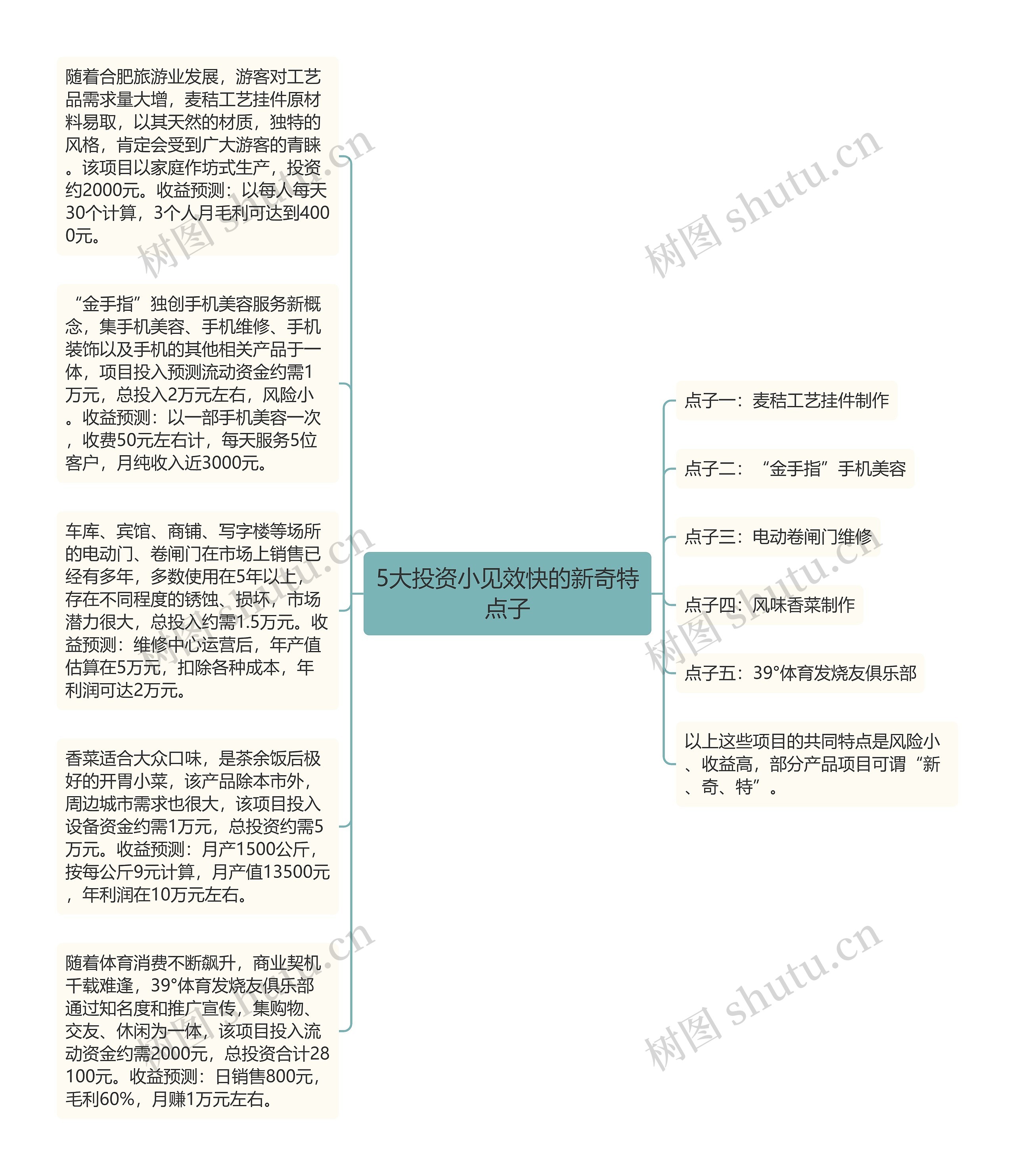 5大投资小见效快的新奇特点子思维导图