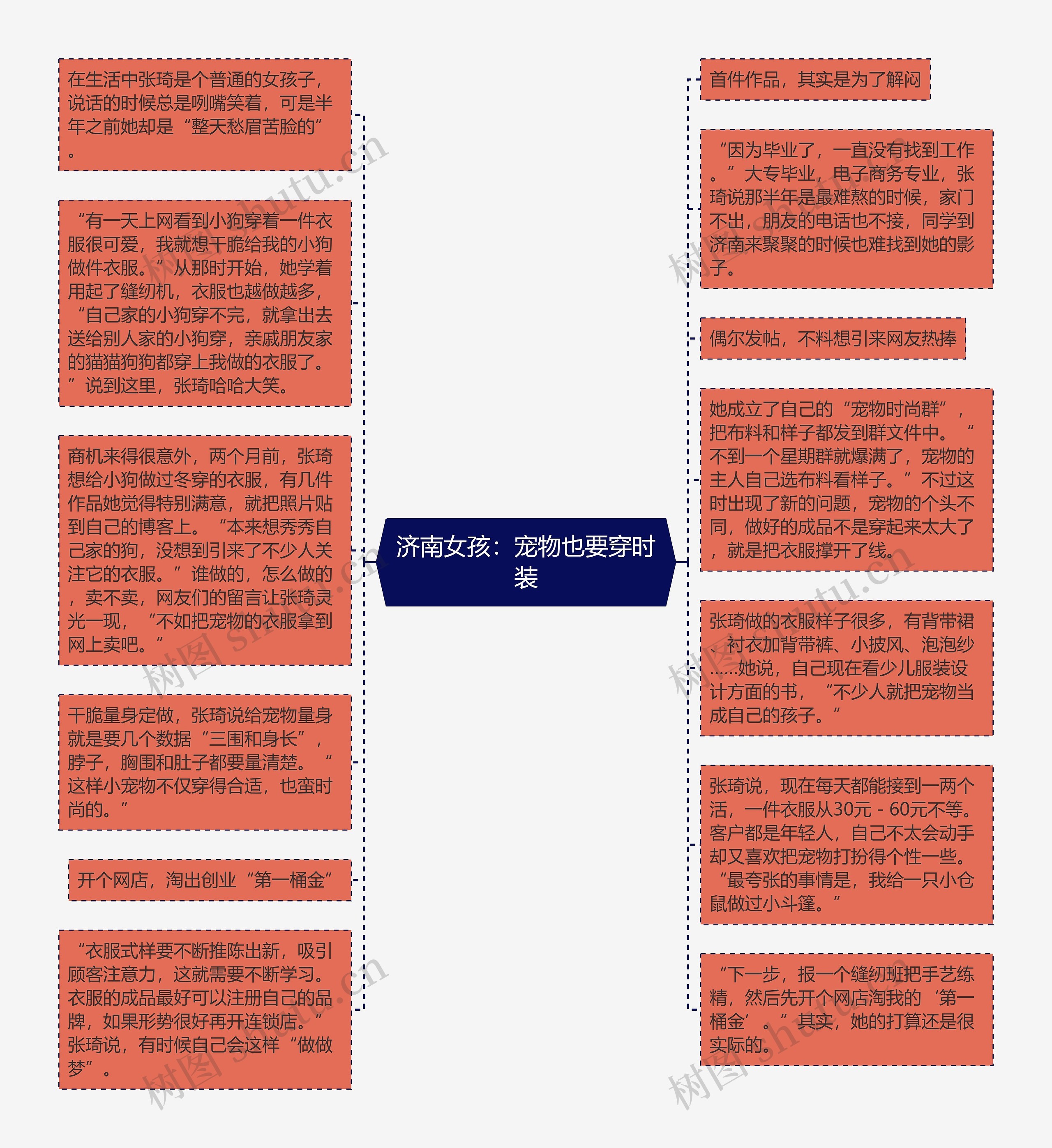 济南女孩：宠物也要穿时装思维导图