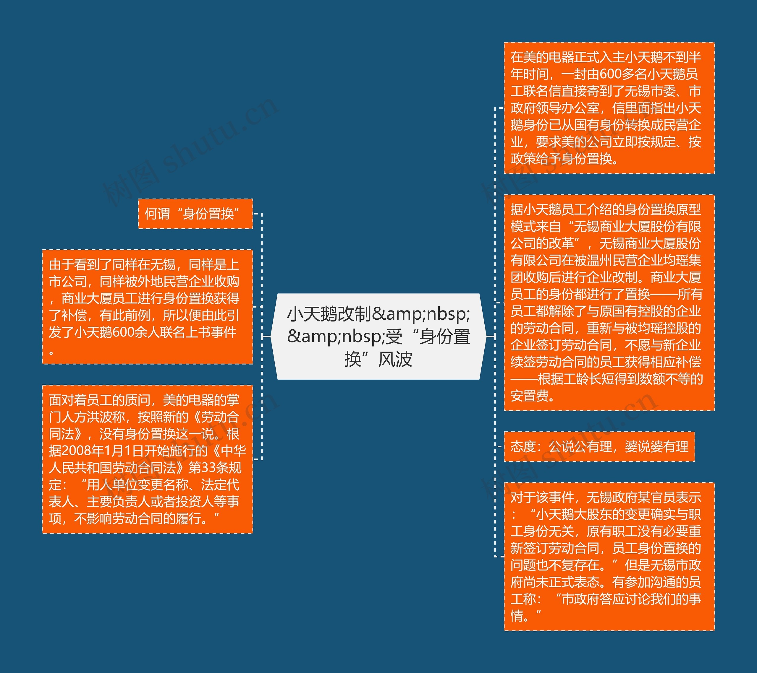 小天鹅改制&amp;nbsp;&amp;nbsp;受“身份置换”风波思维导图