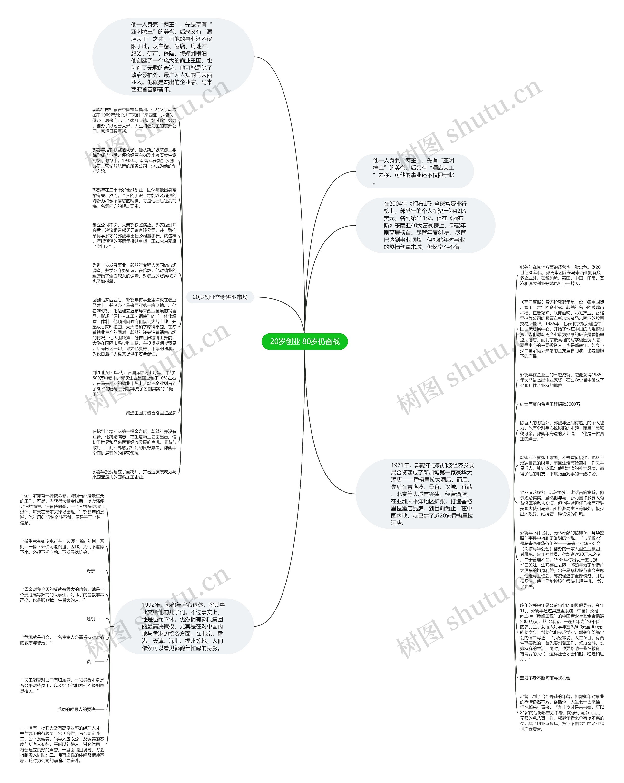 20岁创业 80岁仍奋战思维导图