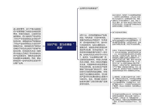 知识产权：要为农粮备“底墒”