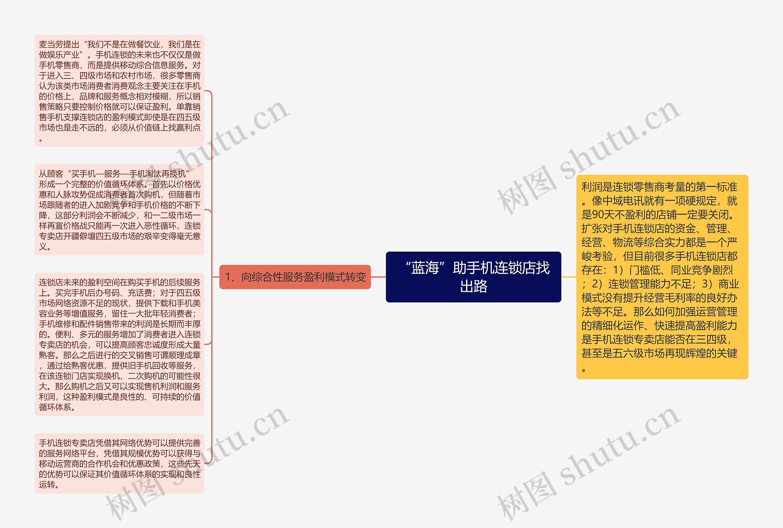 “蓝海”助手机连锁店找出路