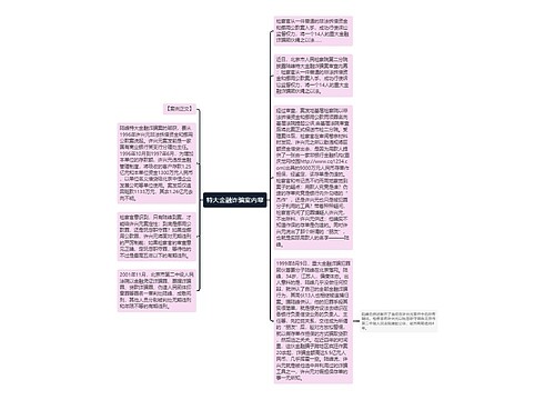 特大金融诈骗案内幕