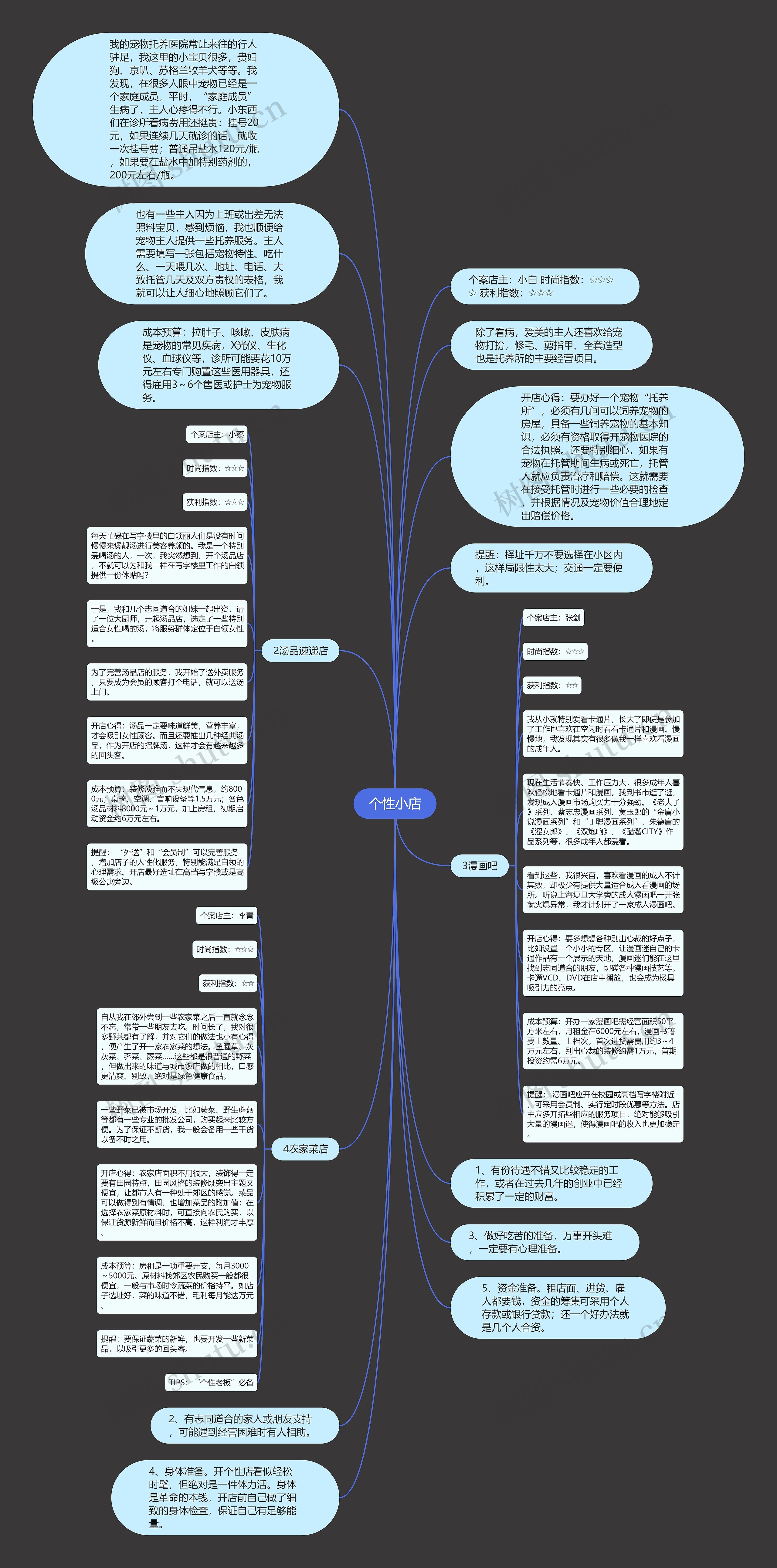 个性小店思维导图