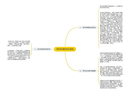 专利申请的优先原则