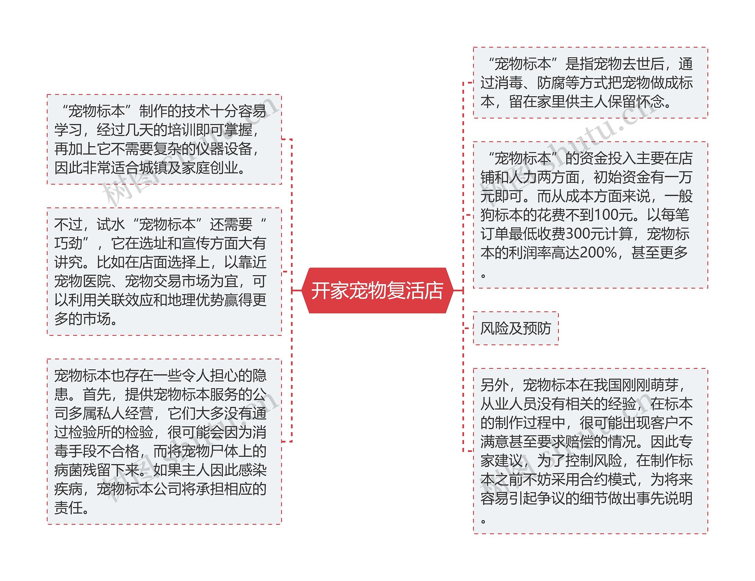 开家宠物复活店思维导图