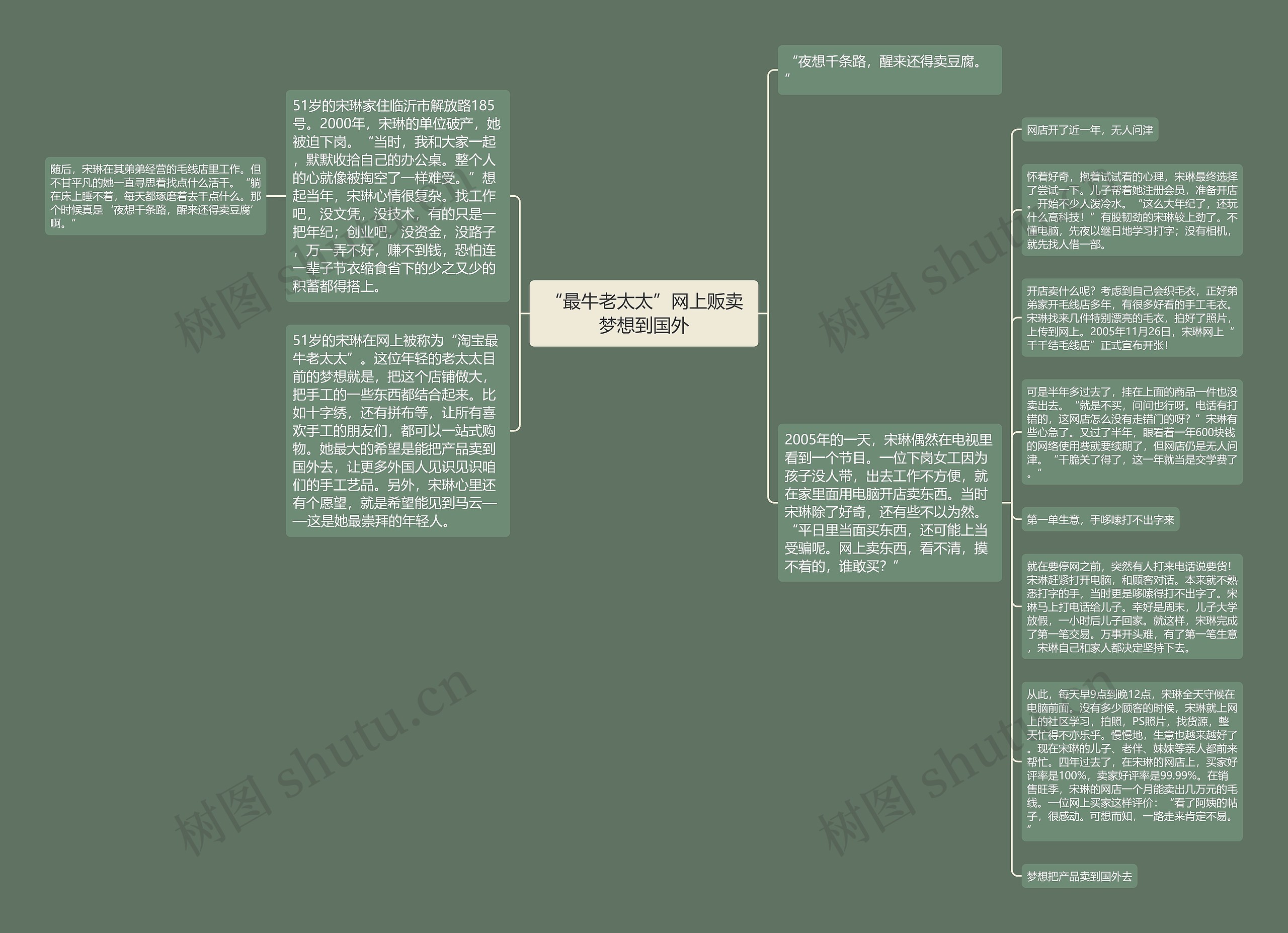 “最牛老太太”网上贩卖梦想到国外思维导图