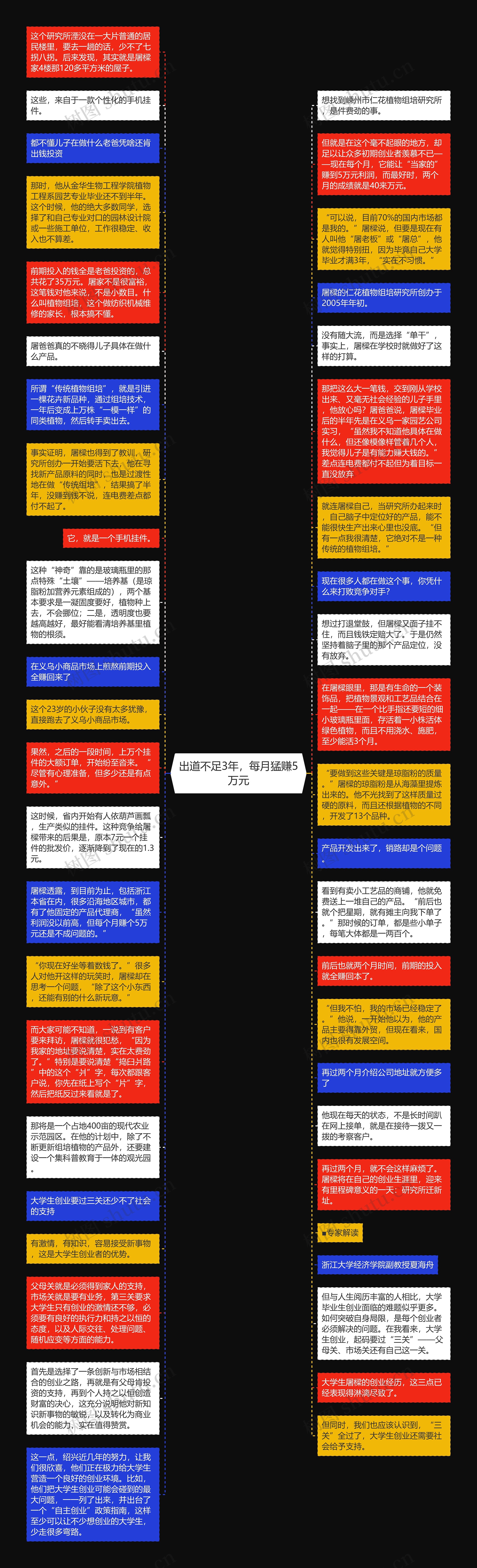 出道不足3年，每月猛赚5万元思维导图