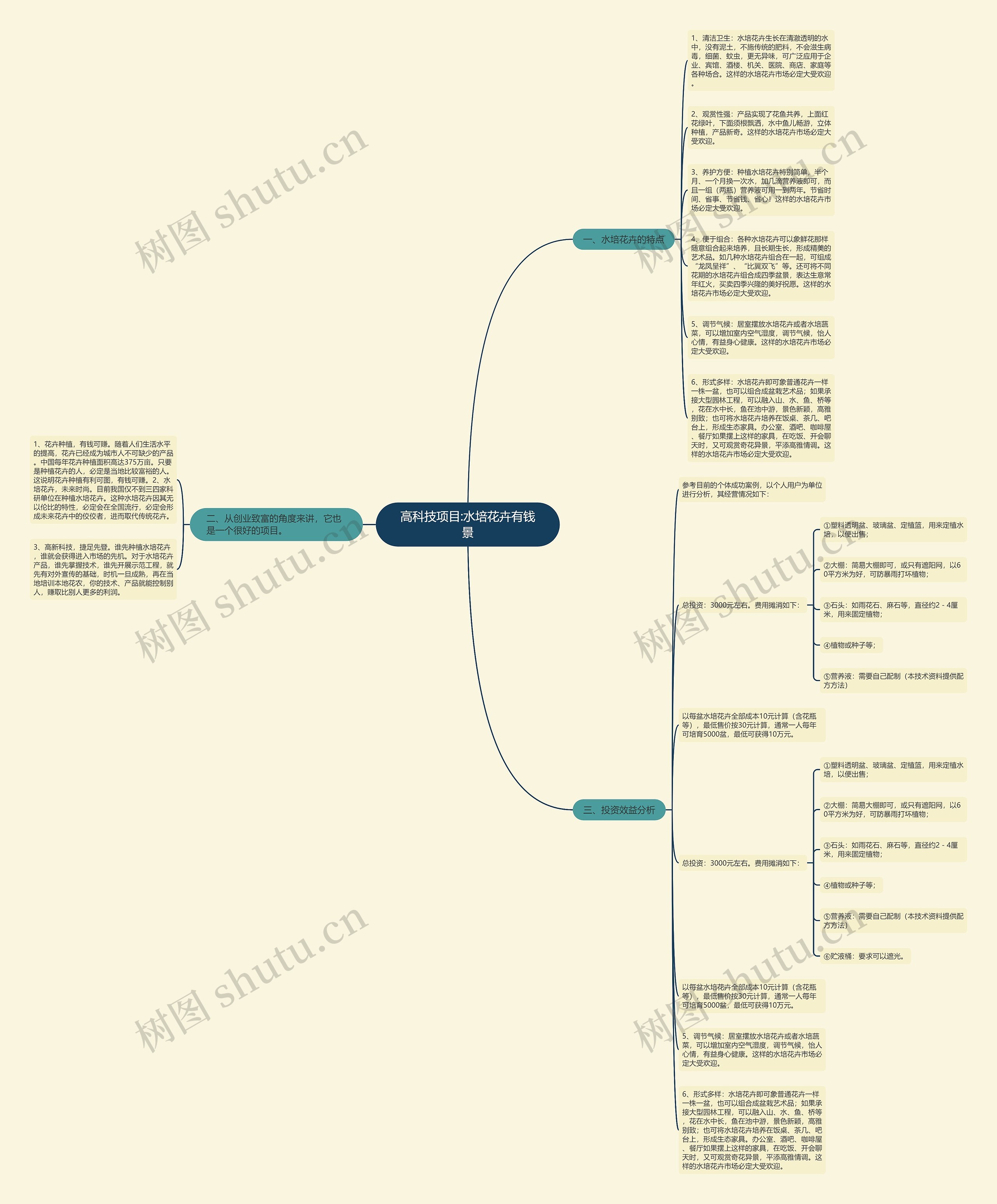 高科技项目:水培花卉有钱景思维导图