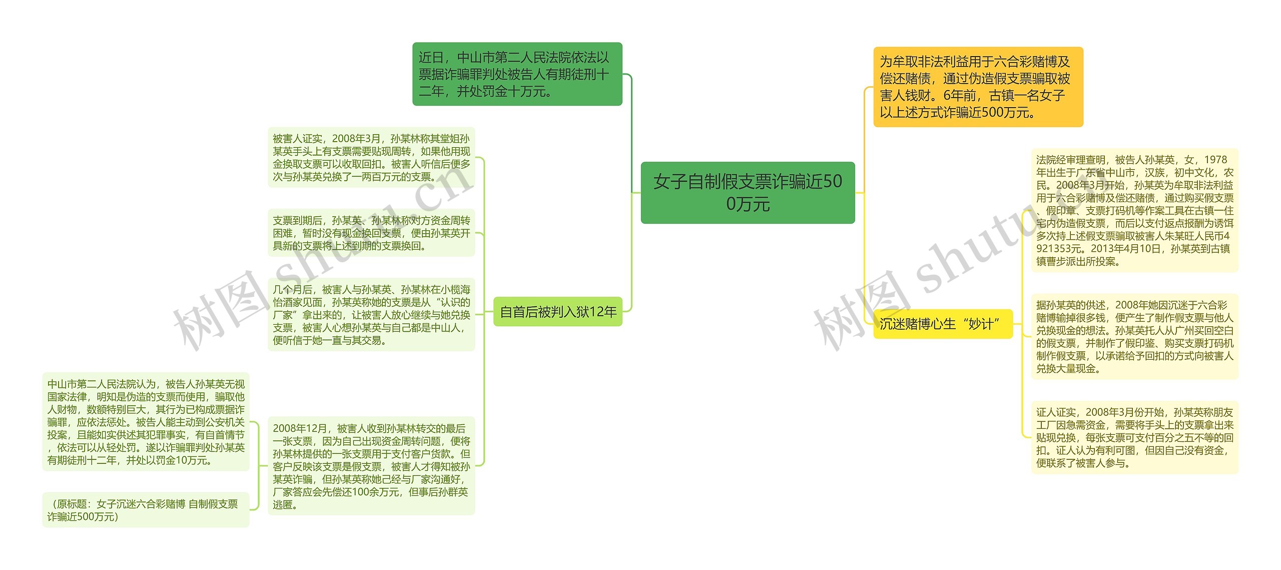 女子自制假支票诈骗近500万元思维导图