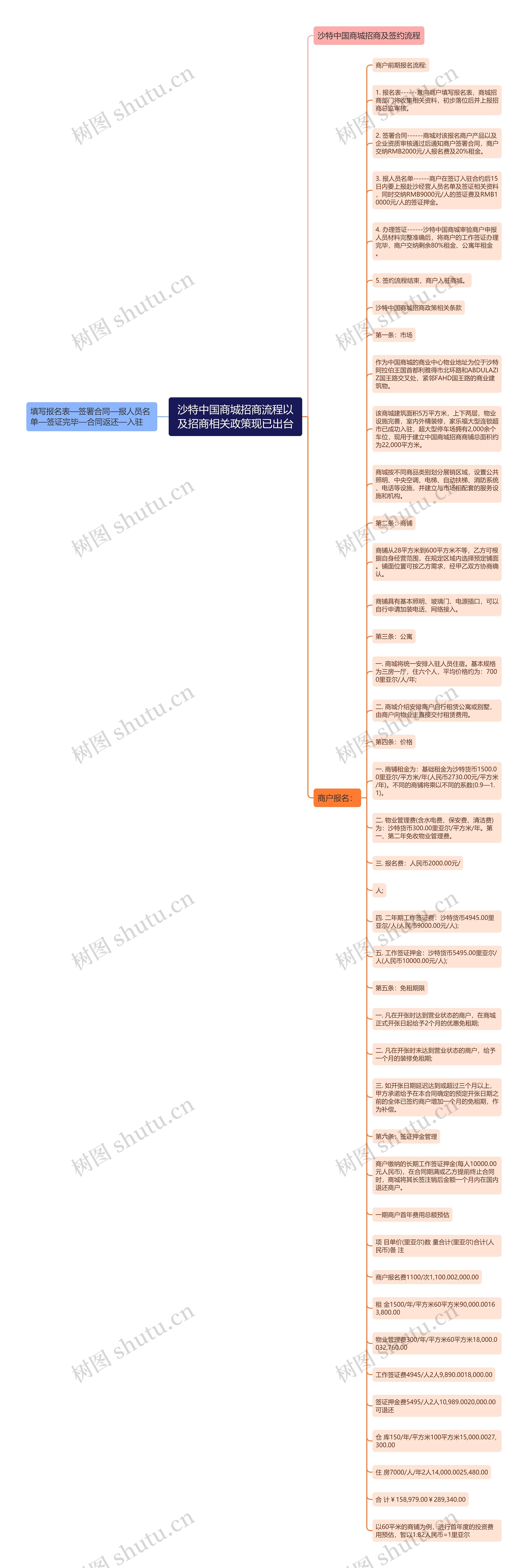 沙特中国商城招商流程以及招商相关政策现已出台思维导图