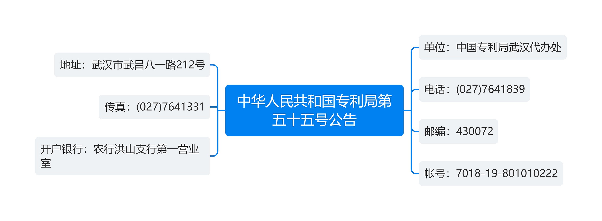 中华人民共和国专利局第五十五号公告