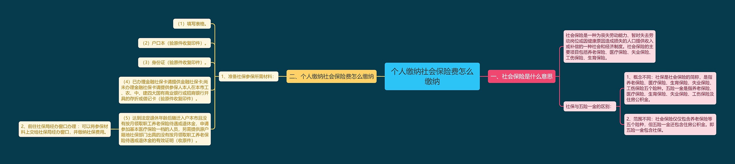 个人缴纳社会保险费怎么缴纳