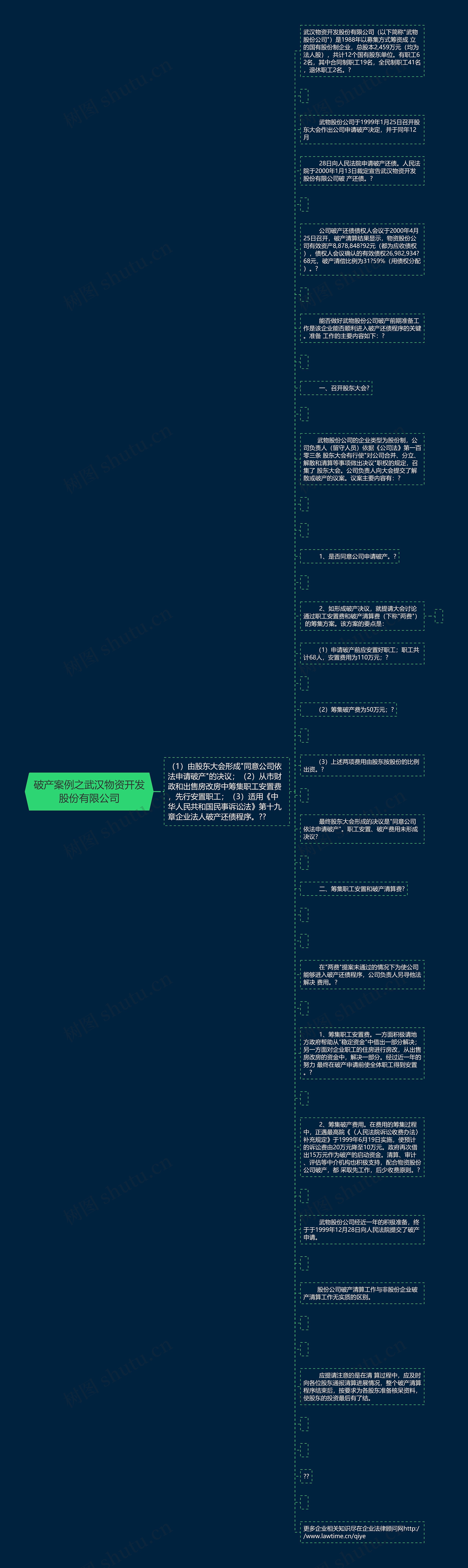 破产案例之武汉物资开发股份有限公司思维导图