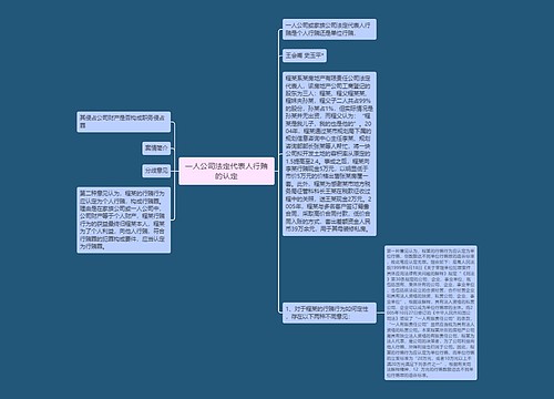 一人公司法定代表人行贿的认定