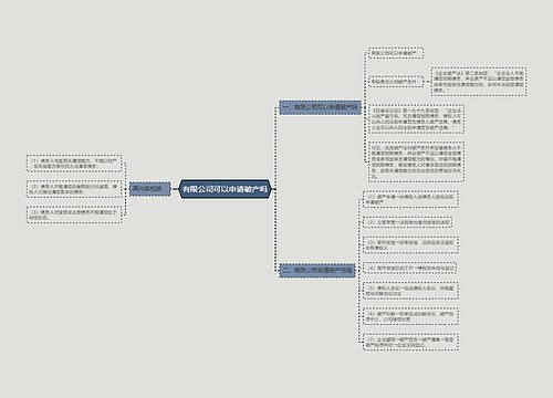 有限公司可以申请破产吗