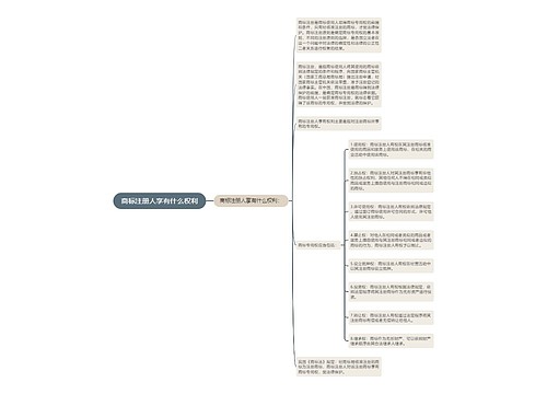 商标注册人享有什么权利