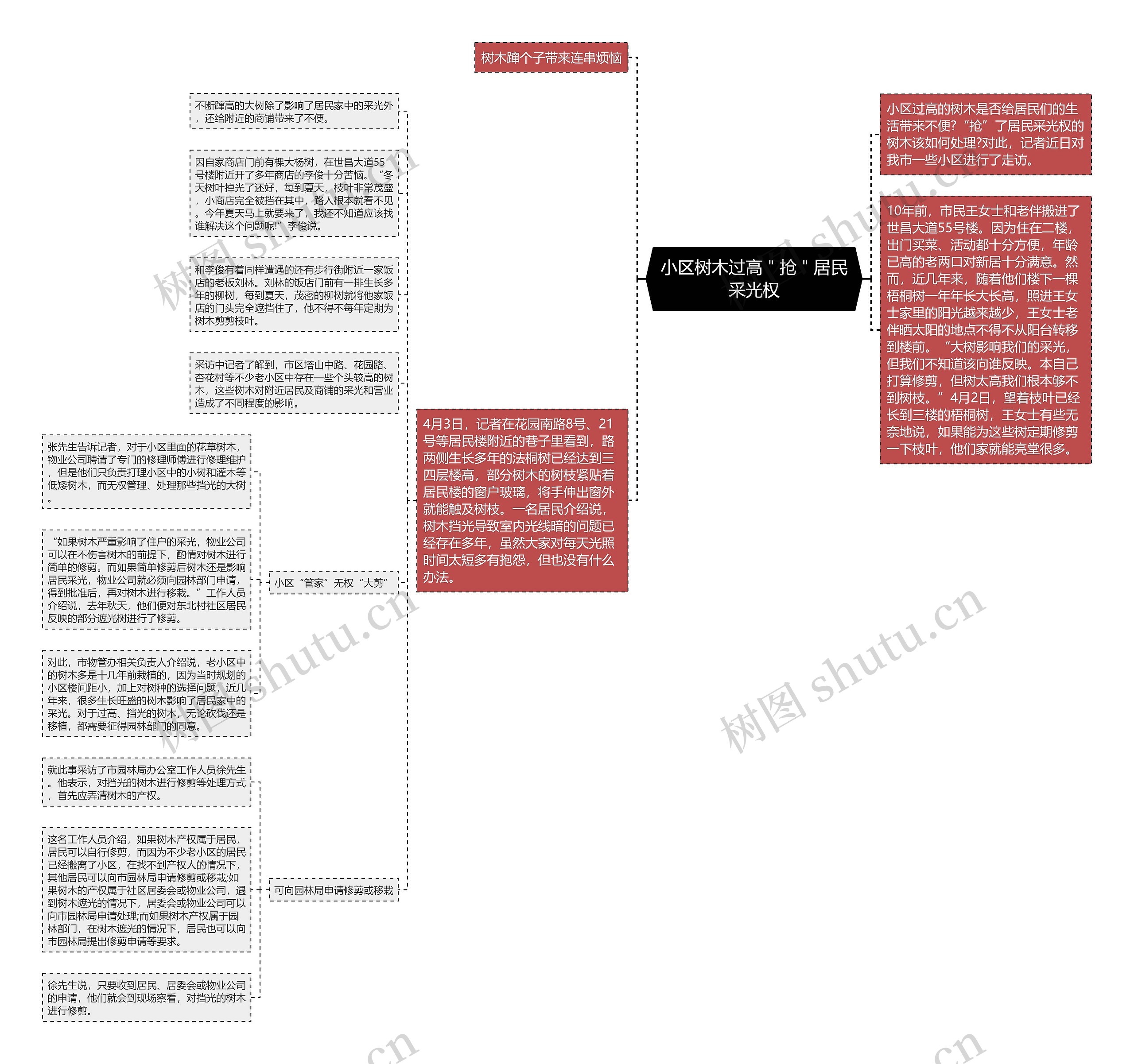 小区树木过高"抢"居民采光权 小区树木过高"抢"居民采光权