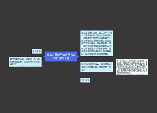 清算人员挪用破产私有公司资金的定性