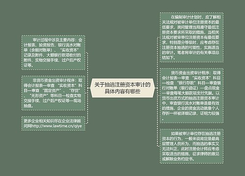 关于抽逃注册资本审计的具体内容有哪些