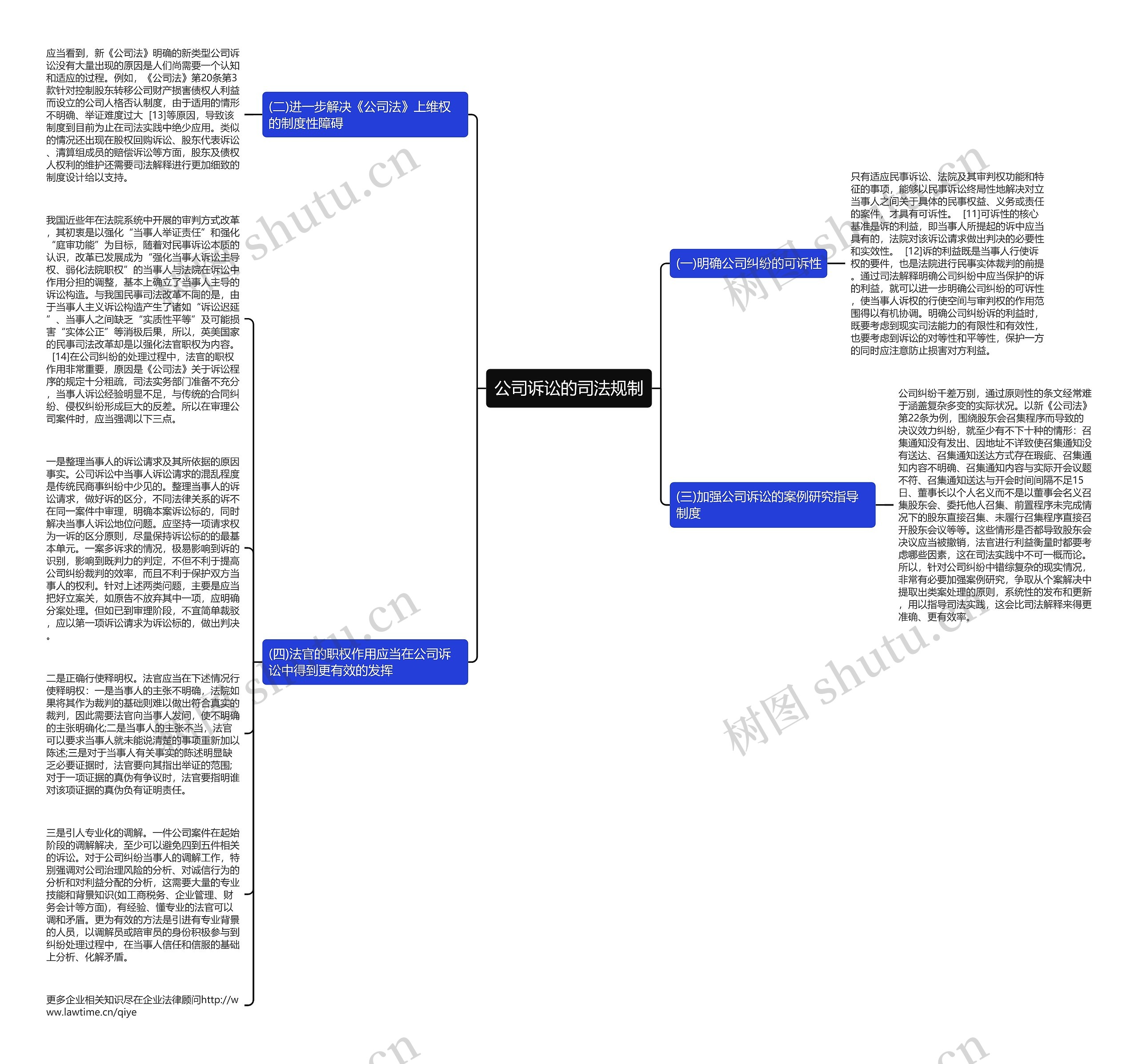 公司诉讼的司法规制思维导图