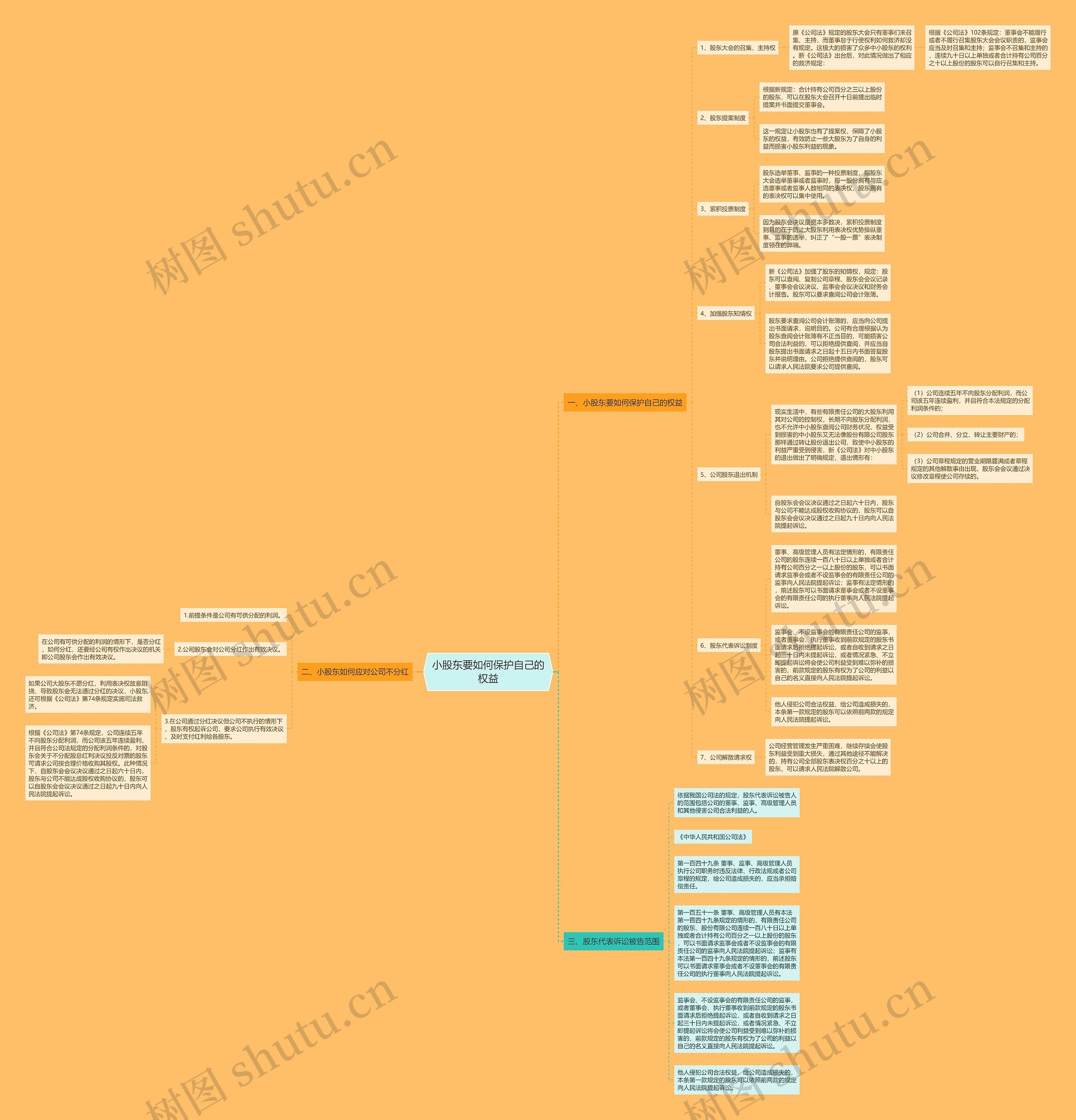 小股东要如何保护自己的权益思维导图