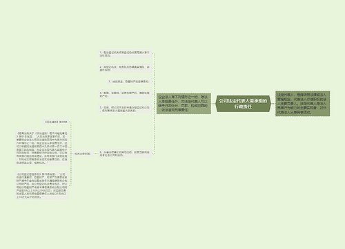 公司法定代表人需承担的行政责任