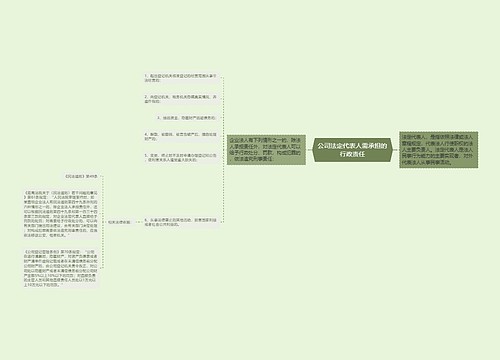 公司法定代表人需承担的行政责任