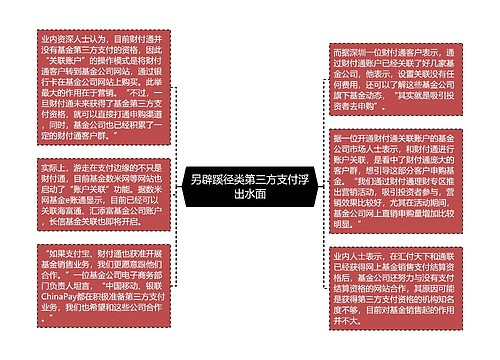 另辟蹊径类第三方支付浮出水面