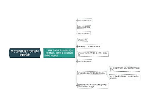 关于国有独资公司章程制定的规定