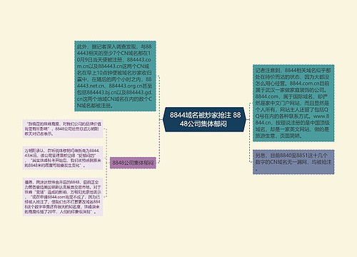  8844域名被炒家抢注 8848公司集体郁闷 