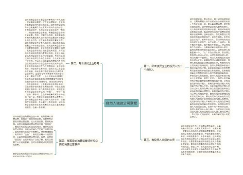 自然人独资公司章程