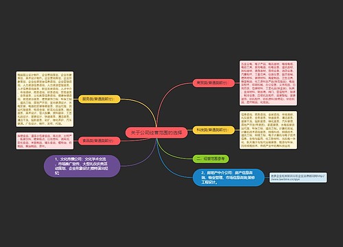 关于公司经营范围的选择