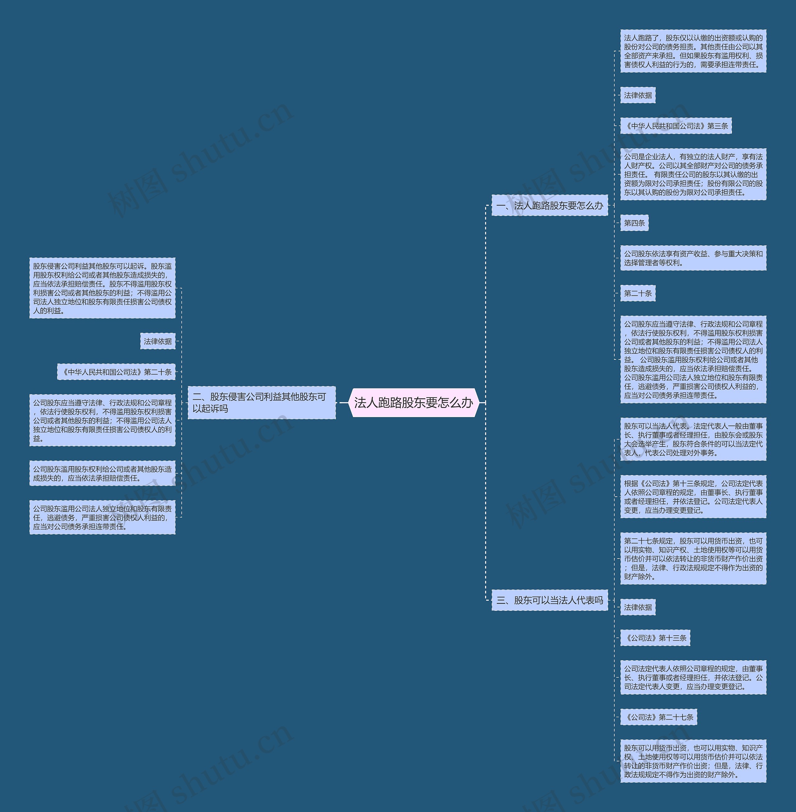 法人跑路股东要怎么办思维导图