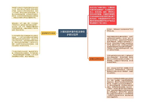 计算机软件著作权法律保护研讨召开